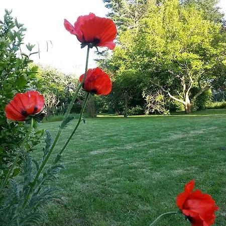 Nocleg ze śniadaniem Le Magnolia *